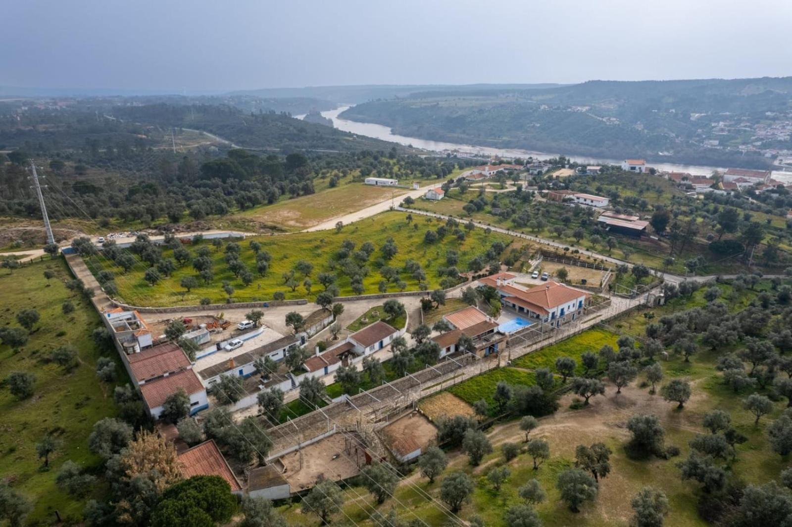 Гостевой дом Quinta Ribeiro Tanquinhos Tancos Экстерьер фото