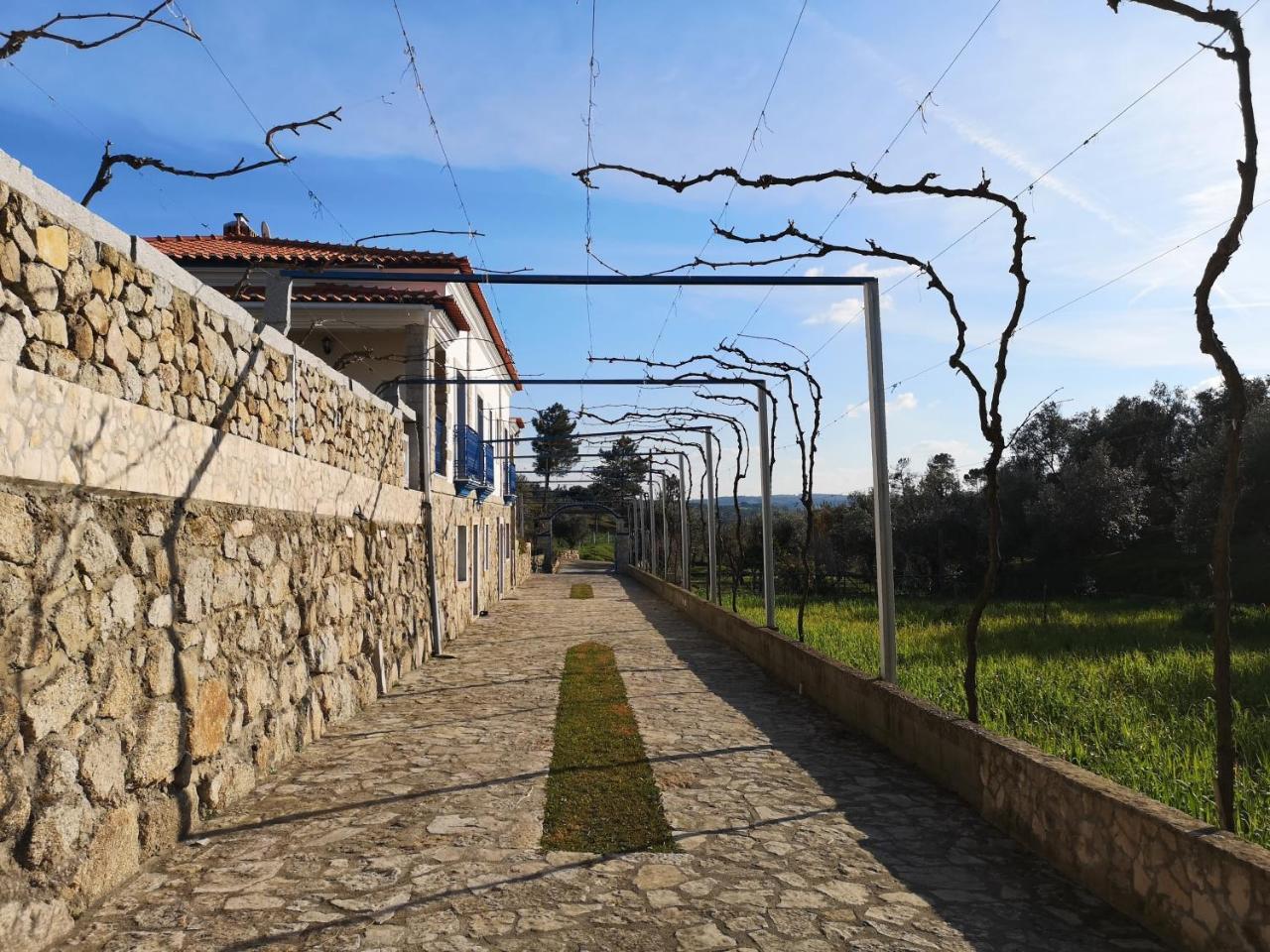 Гостевой дом Quinta Ribeiro Tanquinhos Tancos Экстерьер фото